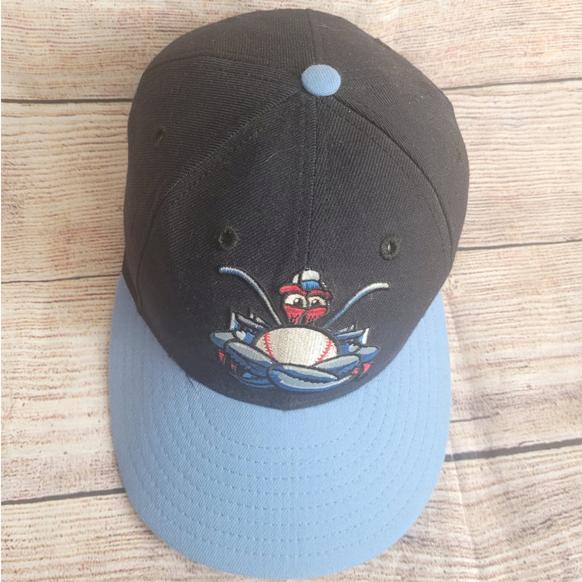 Vintage New Era MiLB Lakewood BlueClaws baseball fitted hat