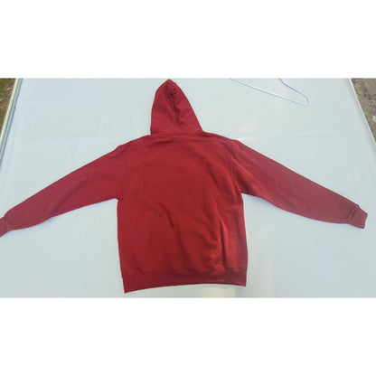 Vintage South Carolina Gamecocks Champion hoodie