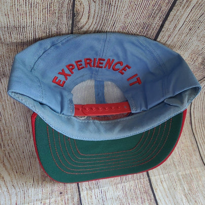 Vtg Richard  Petty Experience snapback hat
