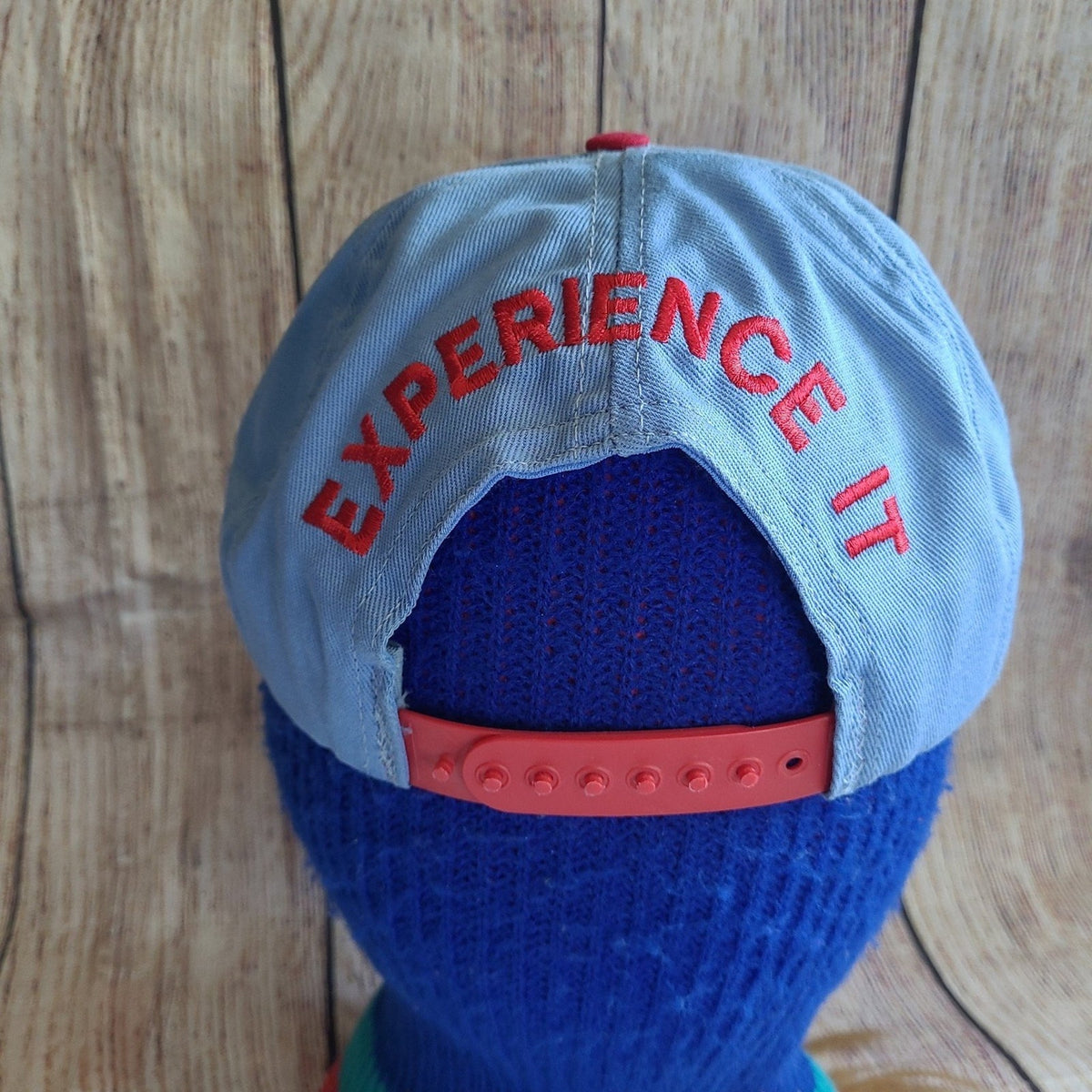 Vtg Richard  Petty Experience snapback hat