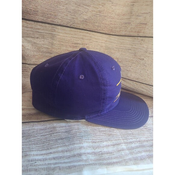 Vtg Minnesota Vikings Ann co snapback hat American Needle Split bar