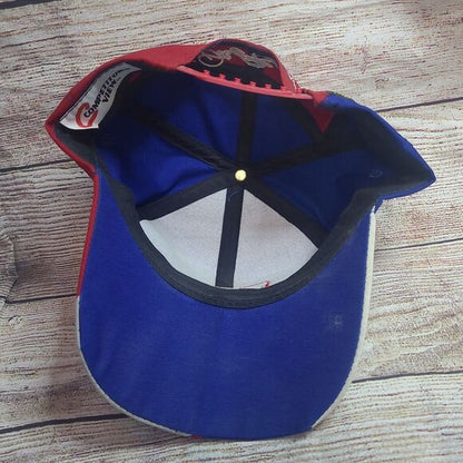 Vtg AC Delco Dale Earnhardt Sr. snapback hat #3
