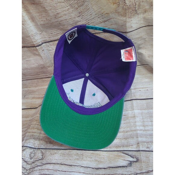 Vtg Anaheim Mighty Ducks snapback hat cap
