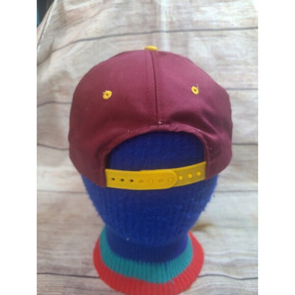 Vintage Taz Washington Redskins Looney Tunes snapback hat