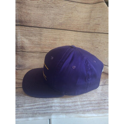 Vtg Minnesota Vikings Ann co snapback hat American Needle Split bar