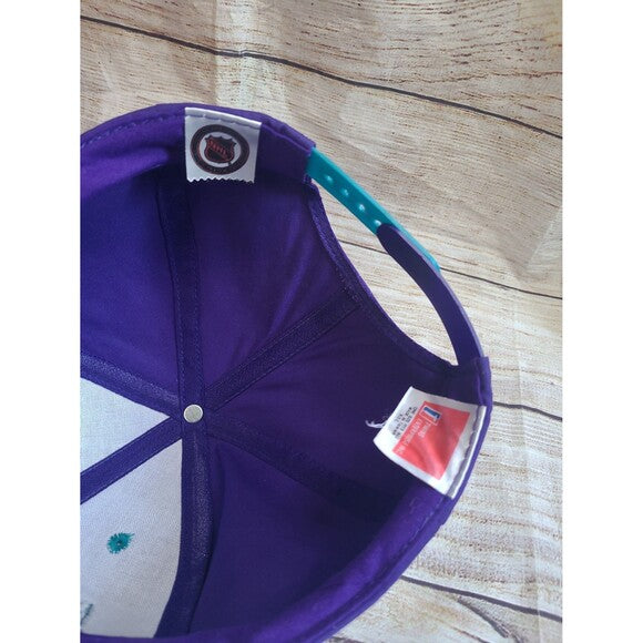 Vtg Anaheim Mighty Ducks snapback hat cap